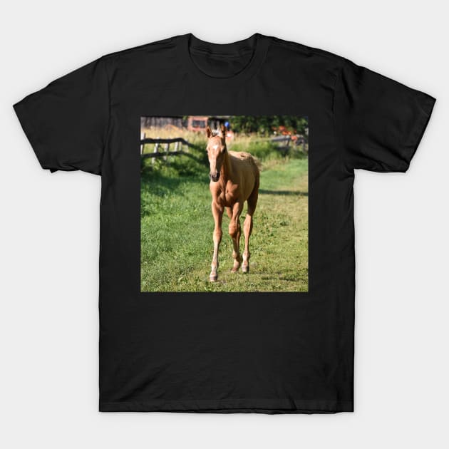 TB COLT T-Shirt by theartsyeq